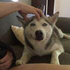 "Мозг чешется...))))"