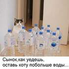 "Пап, поручение выполнил. Приедешь — открой."