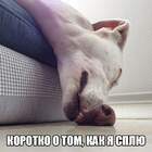 Так вот как выглядит - нос воротить!!! pic