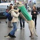 Ну и кто на ком сегодня поедет? pic
