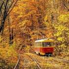 Путешествие в осень pic