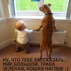 Дневной дозор pic