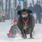 Пааааастаранись!!!! pic