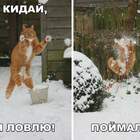 "Кидай,Петрович!....сволочь ты, Петрович...."