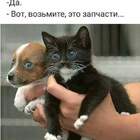 "Какие же это запчасти, это пока запчастята..."