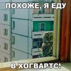 "Похоже, я еду. Твоя крыша."