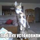 опаньки.. pic