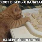 Домашний инспектор по качеству. pic