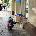 Подрастает настоящий Человек pic
