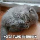 да сплю я просто!!! pic