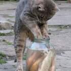 Та-а-а-к, которая из вас тут золотая? pic