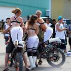 Беру всех трех, мопеды можете себе оставить. :-) pic