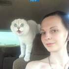 Дура, отлипни от камеры, КАМАЗ!!!!!! pic