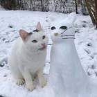 Холодна моя подружка... pic