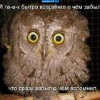 Коса.Косарь.Кошу. pic