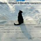 Выхожу один я на дорогу.... pic