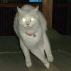 б%я, дальний выключи!!! pic