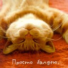 жизнь хороша!!! pic