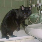 После Нового Года. День первый. pic