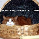 Скучаю pic