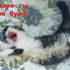 Где мой кофеееееееееееееее pic