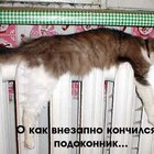 это ещё вопрос, кто кого греет... pic