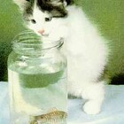 Чё вы так глубоко засели? pic