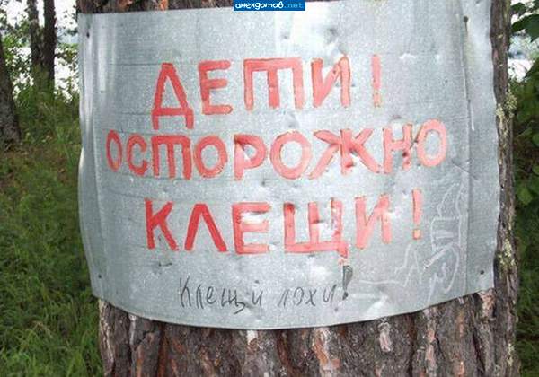 А клещи видимо забыл электрик.