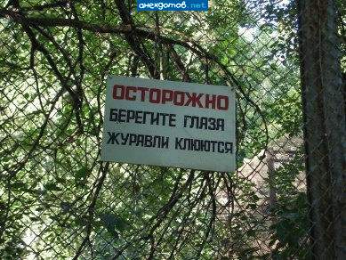 берегите жопу, кролики еб%%%ся