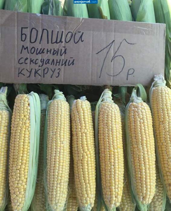 спацыально для сыльной низависимой жэнщын
