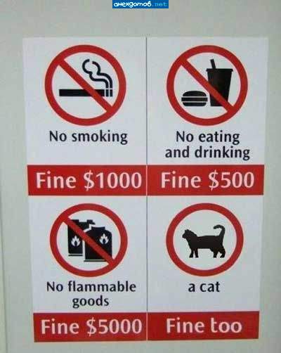 Плакат повесили после того, как к ним забежал кот, выпил канистру бензина и закурил...