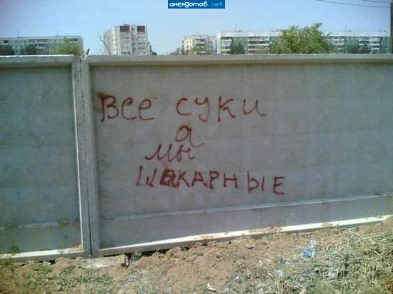 Все-таки научились чему-то в школе, суки шикарные!
