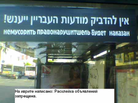 И в Израиле мусоров не любять