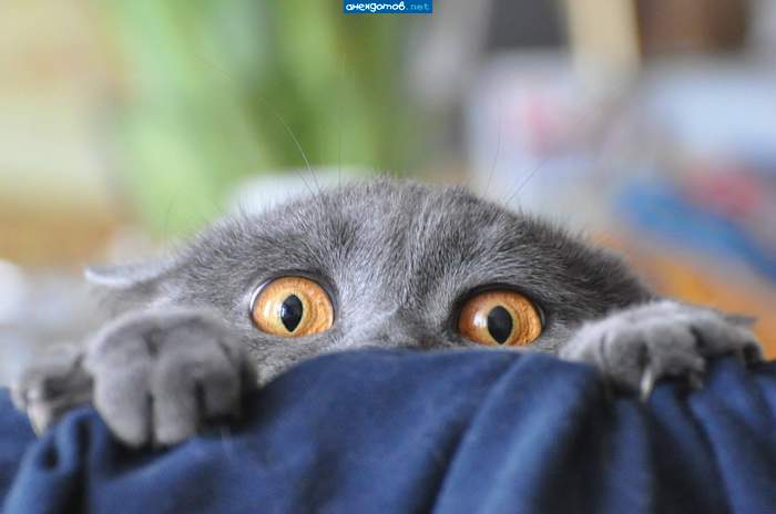 Бабка, ну что? Внуки уехали?