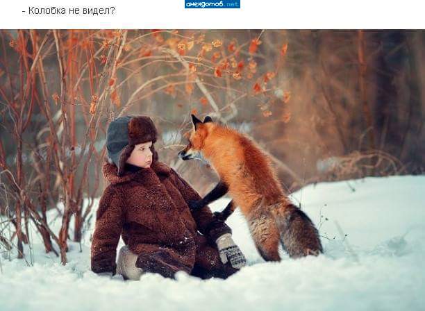 Жирненький такой...Не колобок, случаем?...