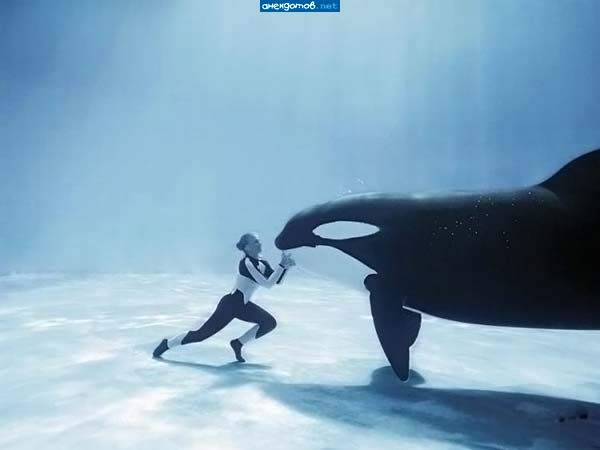 Мы с тобой одной крови - ты и я!"