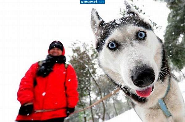 Эти глаза напротив-что это что это?