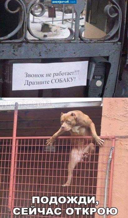 Дразните, дразните. Заодно и покормите.