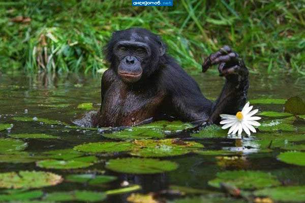 я водяной, я водяной,поговорил бы кто со мной.