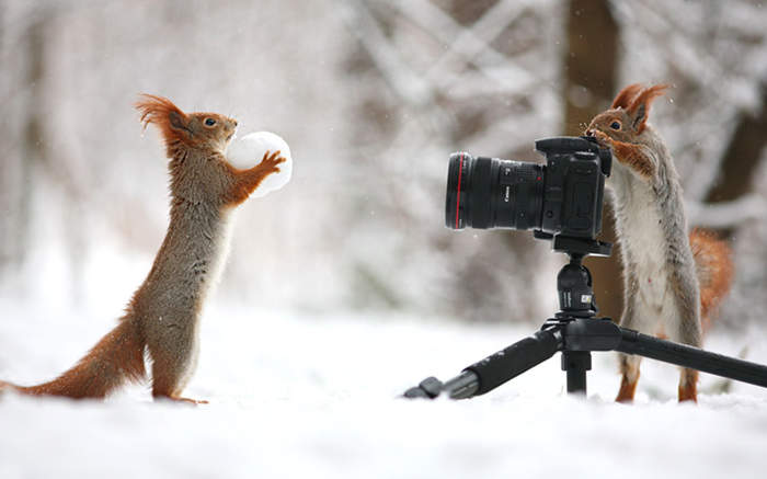 Сфоткай, типа я с огромным орехом!