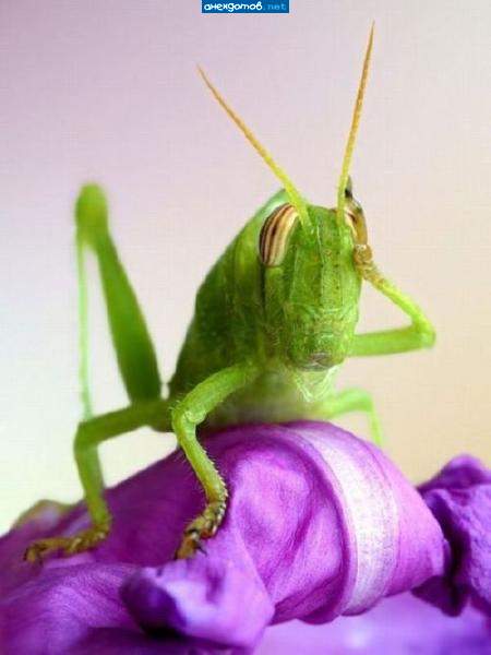 Как я? Где я? Кто я!?!?