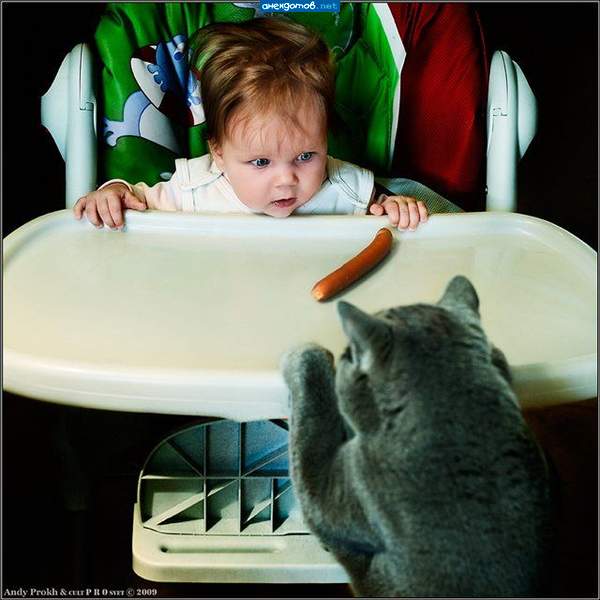 В большой семье не щелкай клювом!