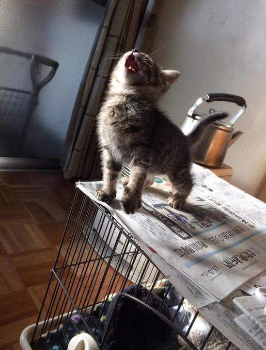 О соло миа!!!