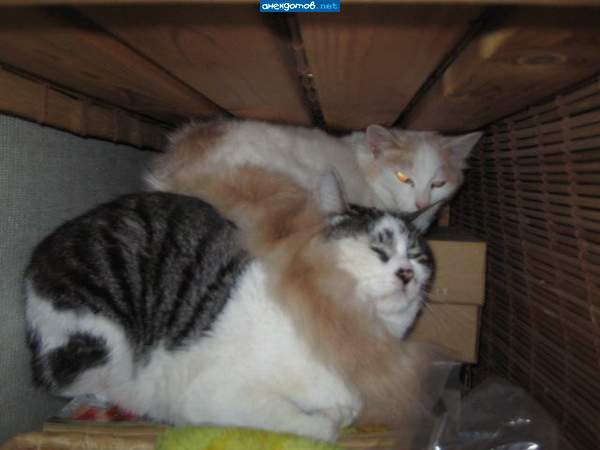 Подожди границу перейдем полегче будет