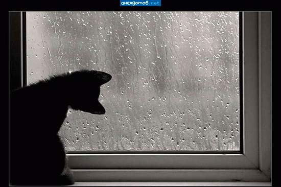 Гироскоп калибрует