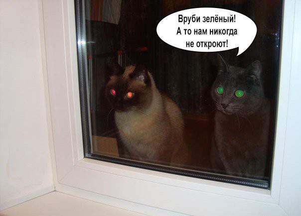 Не могу, пока жёлтый не появится