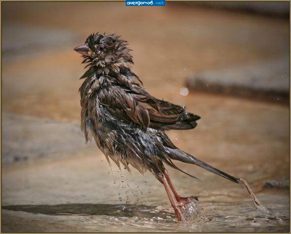 Вдохновенный какой!