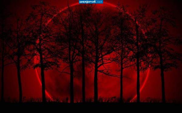 зал-й красной солнце встало