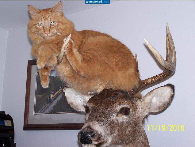 Муж и жена