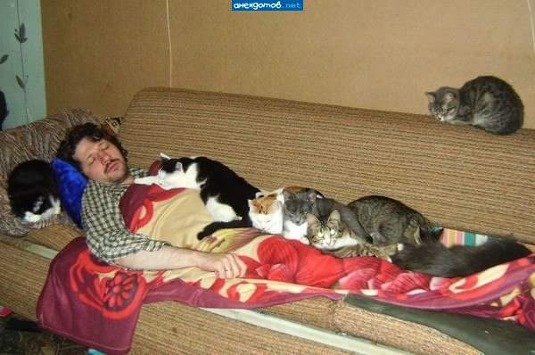 Ночь сильного независимого мужчины